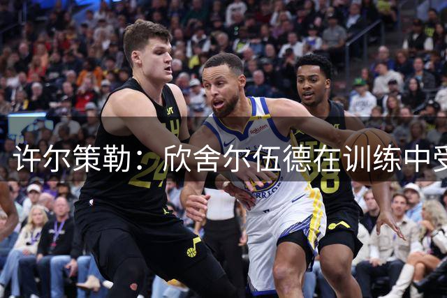 许尔策勒：欣舍尔伍德在训练中受伤，复出时间暂无法确定